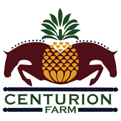 Centurion Farm - New Direction Events.