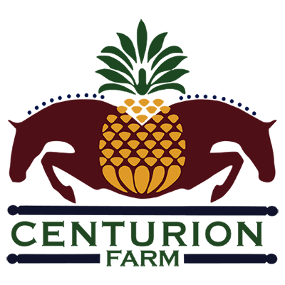 Centurion Farm - New Direction Events. 